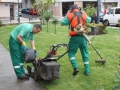 Mantenimiento de jardines