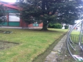 Mantenimiento de jardines